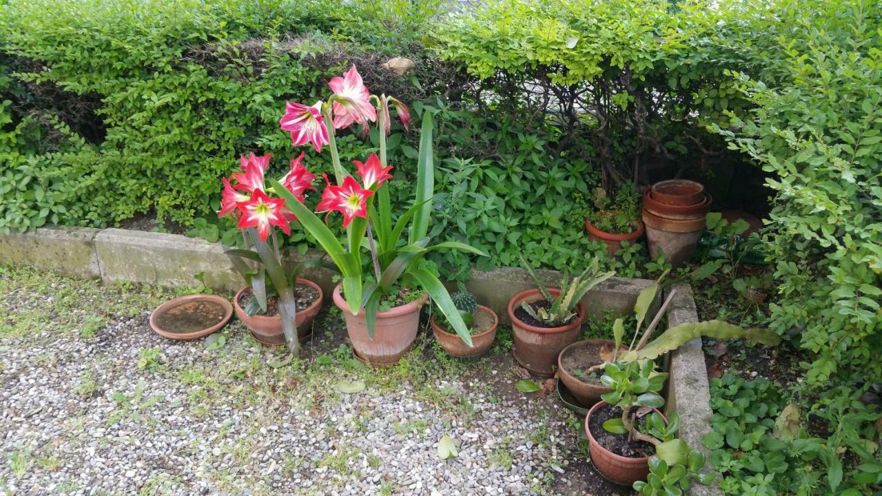Appartamento Aduepassidallafiera *